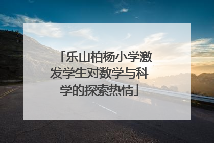 乐山柏杨小学激发学生对数学与科学的探索热情