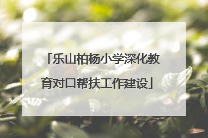 乐山柏杨小学深化教育对口帮扶工作建设