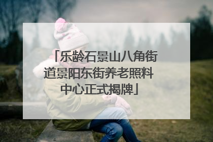 乐龄石景山八角街道景阳东街养老照料中心正式揭牌