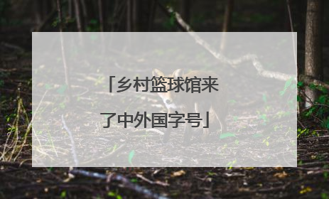 乡村篮球馆来了中外国字号