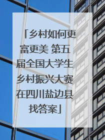 乡村如何更富更美 第五届全国大学生乡村振兴大赛在四川盐边县找答案