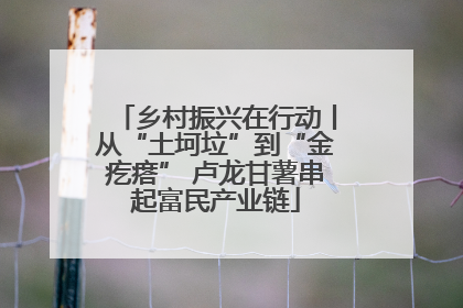 乡村振兴在行动丨从“土坷垃”到“金疙瘩” 卢龙甘薯串起富民产业链