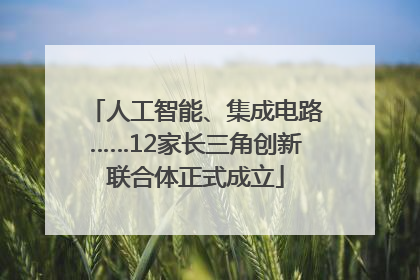 人工智能、集成电路……12家长三角创新联合体正式成立