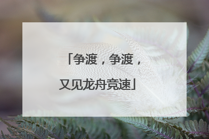 争渡，争渡，又见龙舟竞速