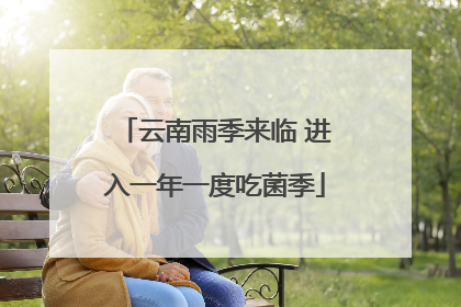 云南雨季来临 进入一年一度吃菌季