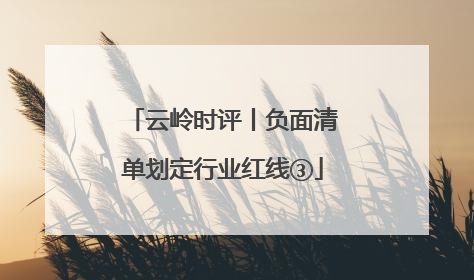 云岭时评丨负面清单划定行业红线③