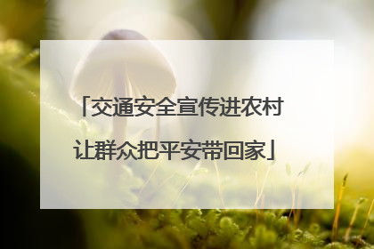 交通安全宣传进农村 让群众把平安带回家