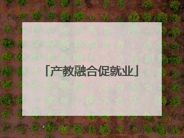 产教融合促就业