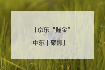 京东“掘金”中东｜聚焦