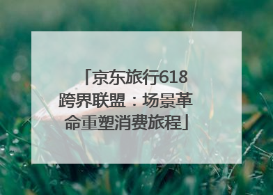 京东旅行618跨界联盟：场景革命重塑消费旅程