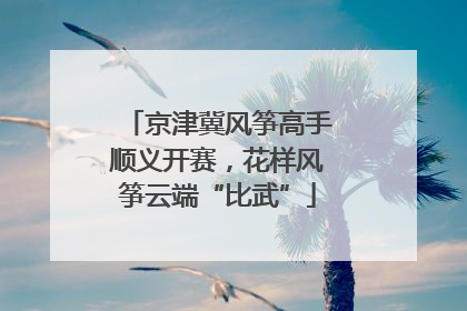 京津冀风筝高手顺义开赛，花样风筝云端“比武”