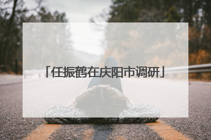 任振鹤在庆阳市调研