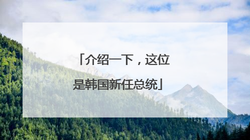 介绍一下，这位是韩国新任总统