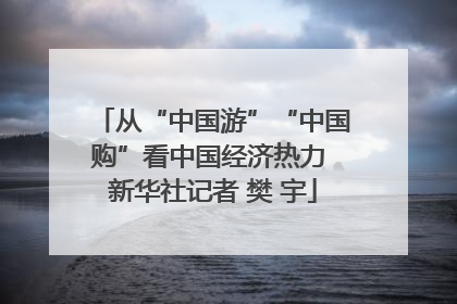 从“中国游”“中国购”看中国经济热力 新华社记者 樊 宇