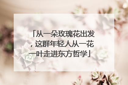 从一朵玫瑰花出发，这群年轻人从一花一叶走进东方哲学