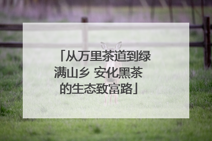 从万里茶道到绿满山乡 安化黑茶的生态致富路