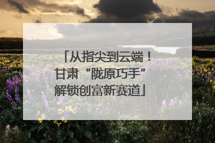 从指尖到云端！甘肃“陇原巧手”解锁创富新赛道