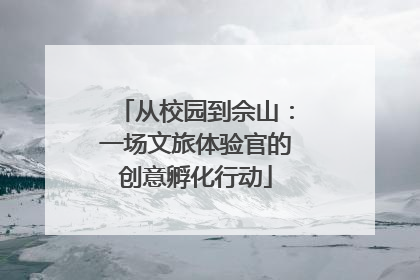 从校园到佘山：一场文旅体验官的创意孵化行动