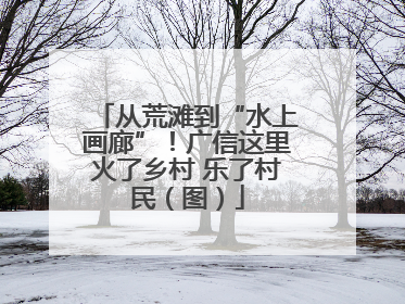 从荒滩到“水上画廊”！广信这里火了乡村 乐了村民（图）