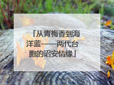 从青梅香到海洋蓝——两代台胞的诏安情缘