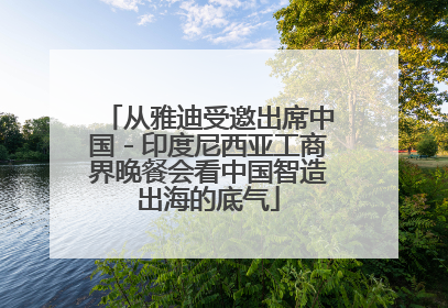 从雅迪受邀出席中国－印度尼西亚工商界晚餐会看中国智造出海的底气