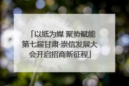 以纸为媒 聚势赋能 第七届甘肃·崇信发展大会开启招商新征程