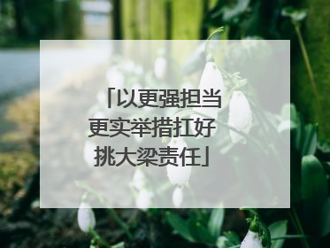 以更强担当更实举措扛好挑大梁责任