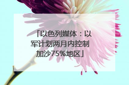 以色列媒体：以军计划两月内控制加沙75%地区