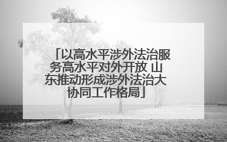 以高水平涉外法治服务高水平对外开放 山东推动形成涉外法治大协同工作格局