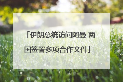 伊朗总统访问阿曼 两国签署多项合作文件