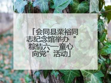 会同县粟裕同志纪念馆举办“粽情六一·童心向党”活动