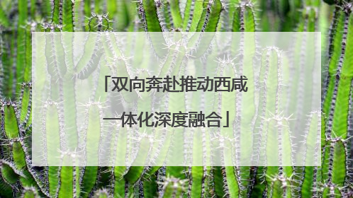 双向奔赴推动西咸一体化深度融合