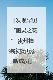 发现罕见“幽灵之花” 贵州植物家族再添新成员