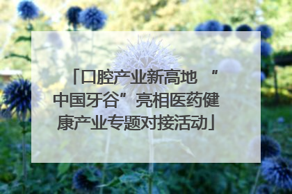 口腔产业新高地 “中国牙谷”亮相医药健康产业专题对接活动