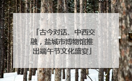 古今对话、中西交融，盐城市博物馆推出端午节文化盛宴