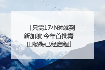 只需17小时就到新加坡 今年首批青田杨梅已经启程