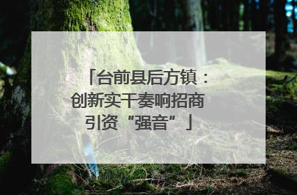 台前县后方镇：创新实干奏响招商引资“强音”