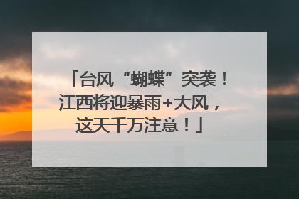 台风“蝴蝶”突袭！江西将迎暴雨+大风，这天千万注意！