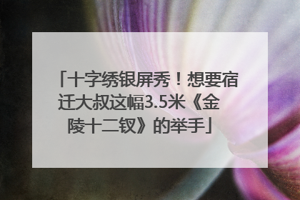 十字绣银屏秀！想要宿迁大叔这幅3.5米《金陵十二钗》的举手