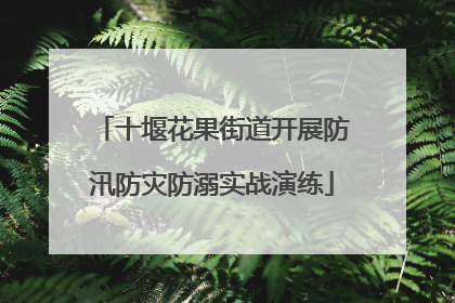 十堰花果街道开展防汛防灾防溺实战演练