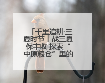 千里追耕·三夏时节丨战三夏保丰收 探索“中原粮仓”里的科技感
