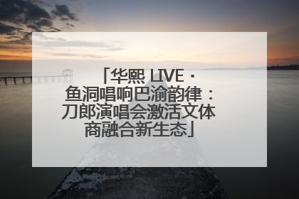 华熙 LIVE・鱼洞唱响巴渝韵律：刀郎演唱会激活文体商融合新生态