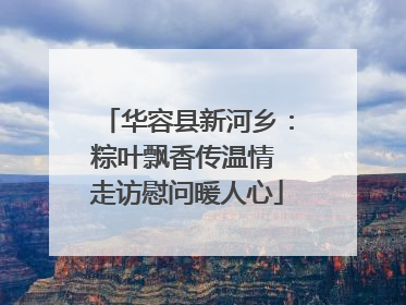 华容县新河乡：粽叶飘香传温情 走访慰问暖人心