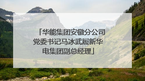 华能集团安徽分公司党委书记马冰武履新华电集团副总经理