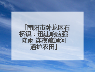 南阳市卧龙区石桥镇：迅速响应强降雨 连夜疏通河道护农田