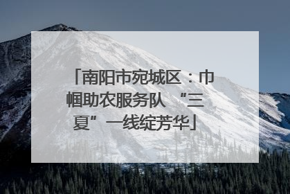 南阳市宛城区：巾帼助农服务队 “三夏”一线绽芳华