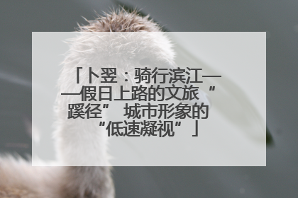 卜翌：骑行滨江——假日上路的文旅“蹊径” 城市形象的“低速凝视”