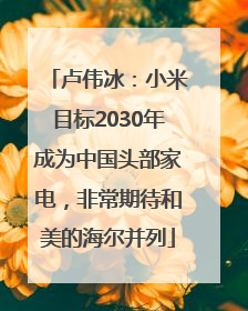 卢伟冰：小米目标2030年成为中国头部家电，非常期待和美的海尔并列