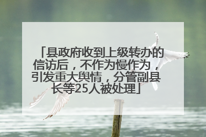 县政府收到上级转办的信访后，不作为慢作为，引发重大舆情，分管副县长等25人被处理