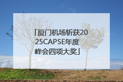 厦门机场斩获2025CAPSE年度峰会四项大奖